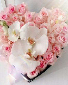 70 ROSAS Y ORQUIDEAS