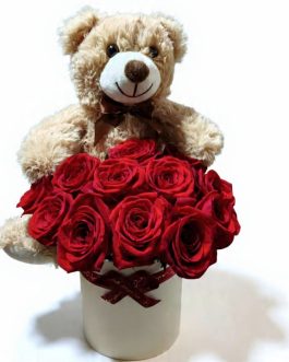 MOD.03 ARREGLO CON 12 ROSAS Y OSO DE PELUCHE